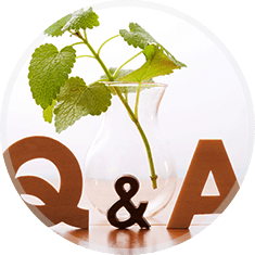 Q＆A